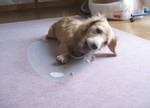 カラーで遊ぶ2.jpg